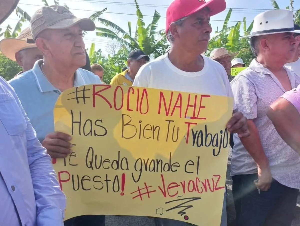 danielperez312's tweet photo. @rocionahle Muéstrale la estructura carretera de Perote a Martínez de la Torre, vieja mentirosa… y llévalo al paro carretero que hay ahorita en Tlapacoyan gracias a tu ineficiencia… https://t.co/ndTiHCcVSd