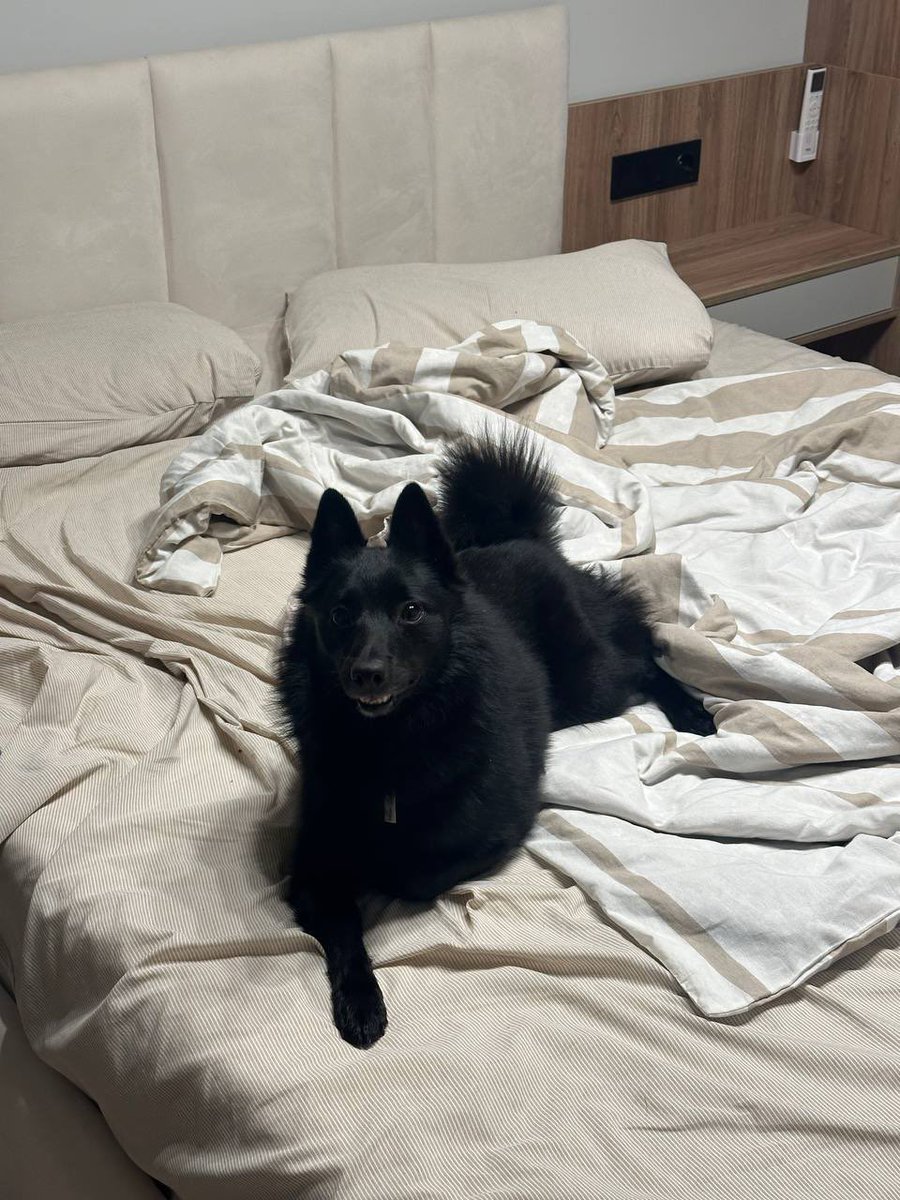 прошмандовцы русской эмиграции