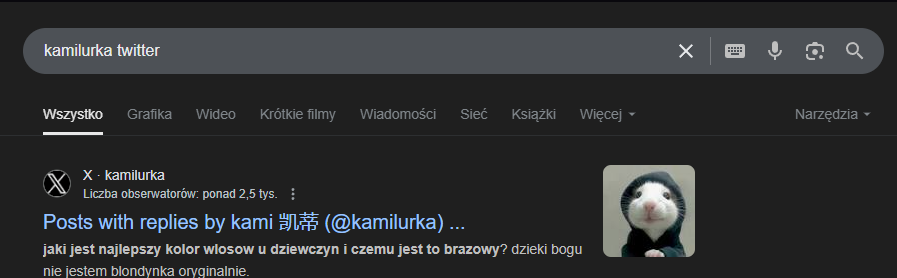 . <a href="/kamilurka/">kami 凯蒂</a>