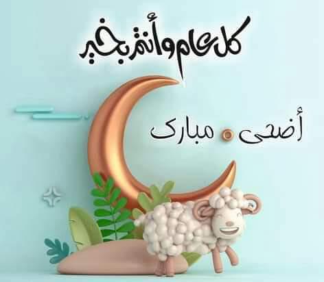 أيمن العمرو tweet media