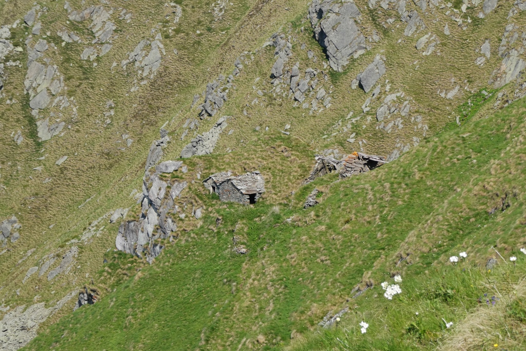 Beppe Leyduan tweet media