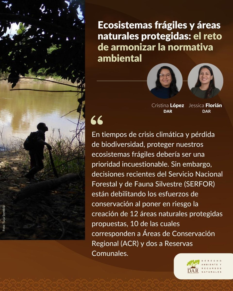 #DAROpina | Alertamos que 12 propuestas de ANP podrían quedar en el aire por una interpretación errada.

👉 ¿Cómo afecta esto a los territorios indígenas, la biodiversidad y la Meta 30x30?

📍 Lee la columna y análisis técnico → beacons.ai/ongdar

#Conservación #Amazonía