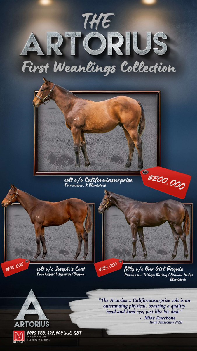😍 The Artorius First Weanlings Collection! 

Standing for $22,000 inc GST in 2025. <a href="/NewgateFarm/">Newgate</a>

newgate.com.au/horse/artorius/