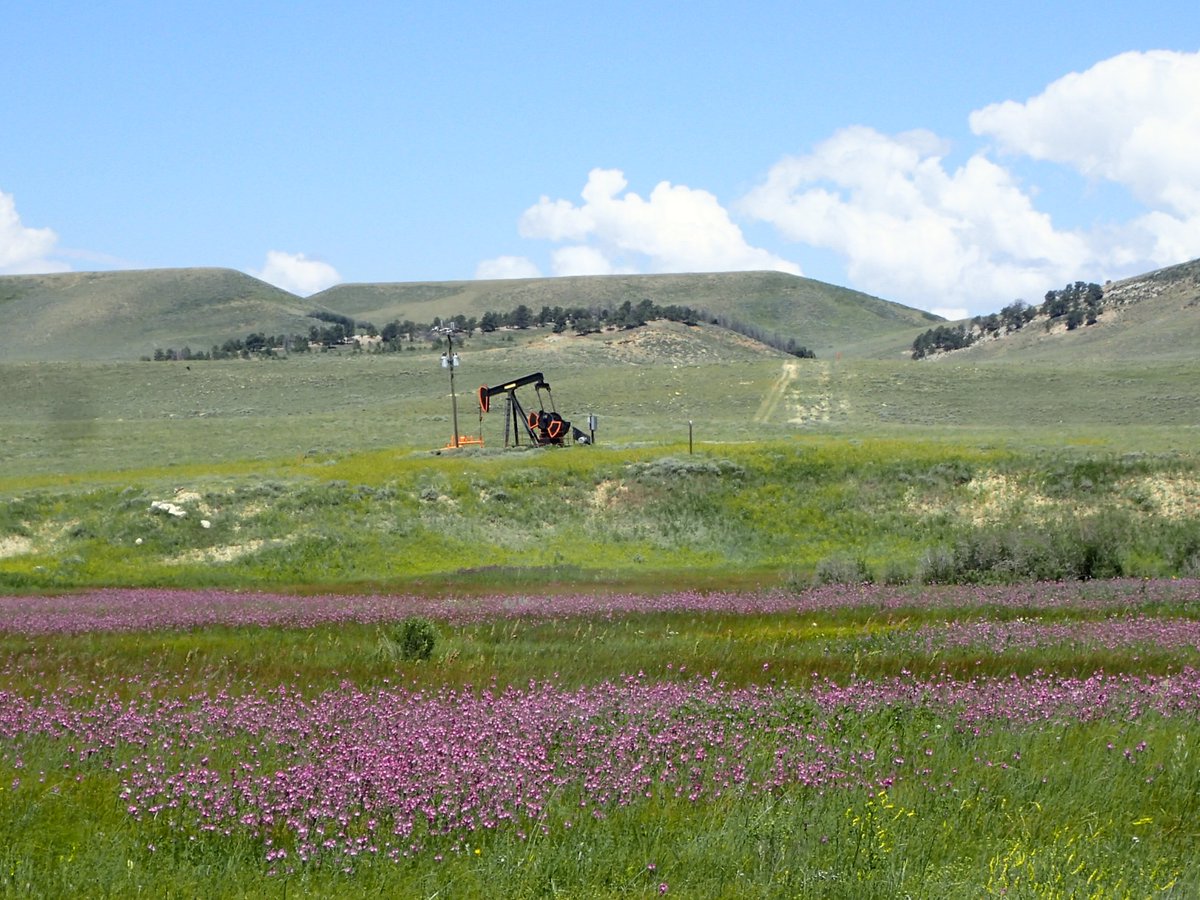 BLM oil and gas lease sale in Wyoming generates over $7.7 million in revenue. Find more information here, blm.gov/press-release/….
