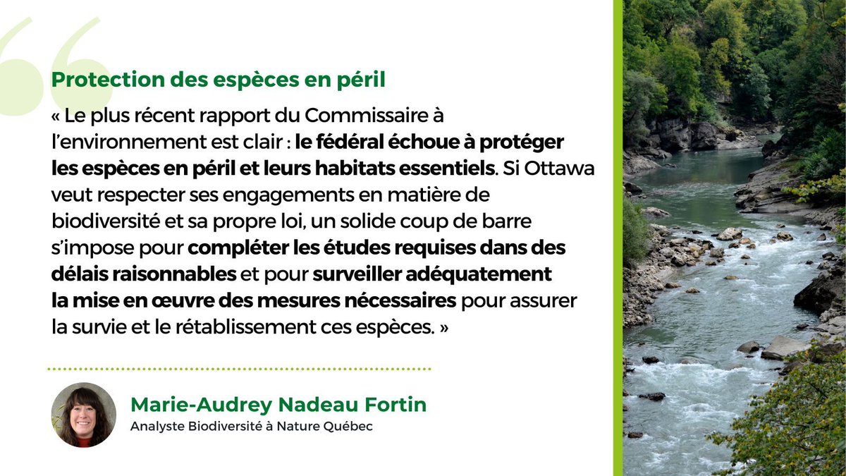 Un nouveau rapport démontre comment le Canada « peine à préserver les habitats essentiels à la survie et au rétablissement des espèces menacées, dont le déclin est habituellement imputable aux activités humaines. »

Pour lire l'article 👉 buff.ly/uzOW8xt 

#polcan