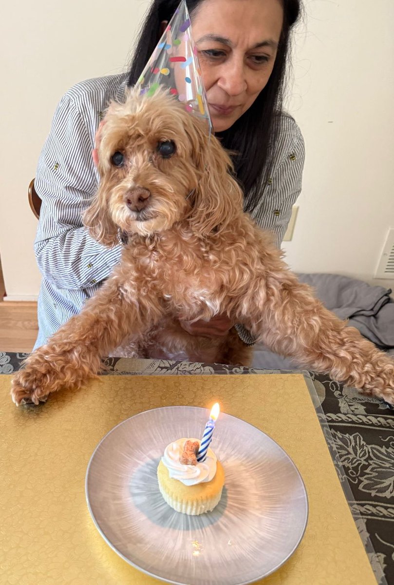 tika mankar tweet media