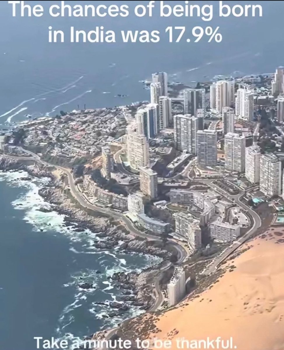 Tiffany Fong tweet media