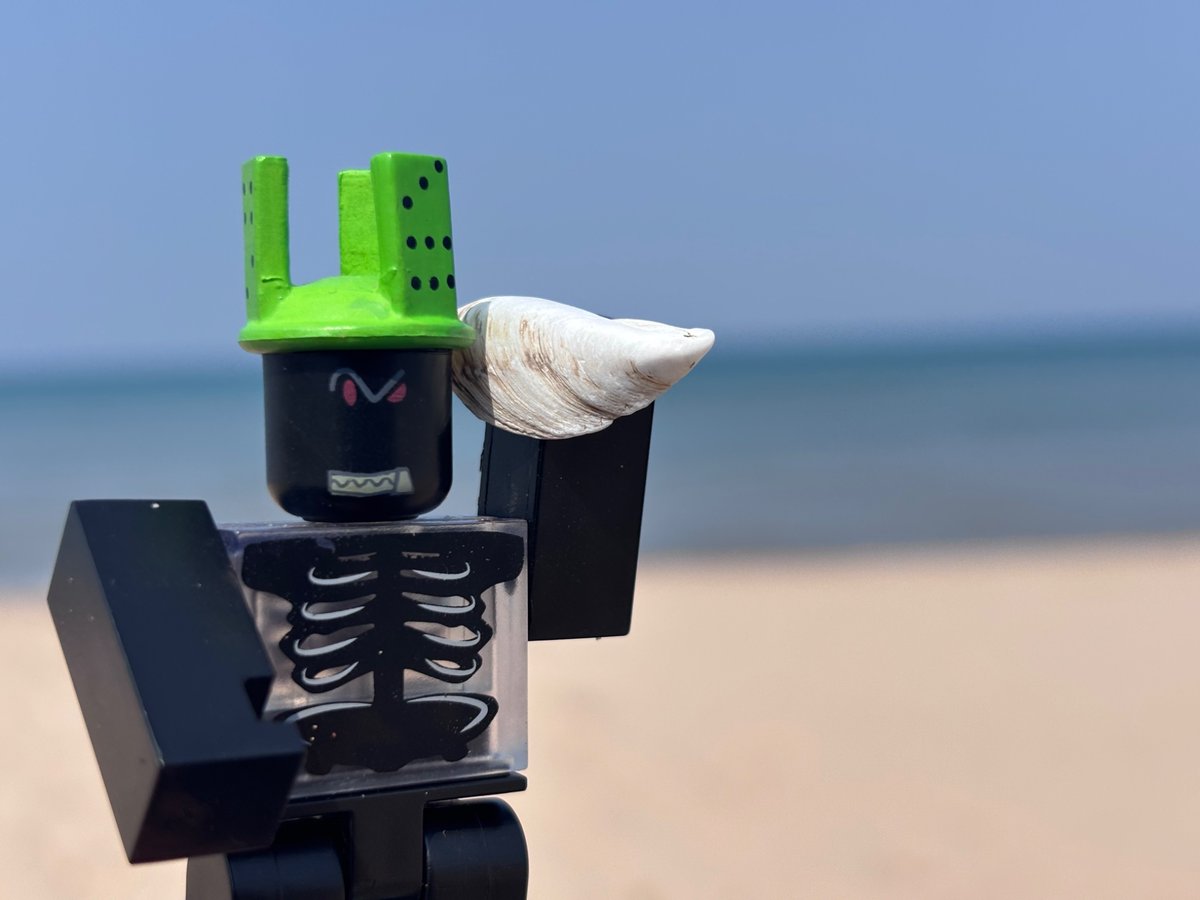 the adversary has been spotted at. the beach!!!!!!