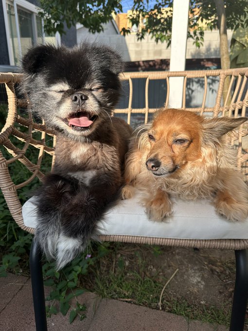 Watch Aaliyah Love🎀's leaked NSFW photo on TwXstars