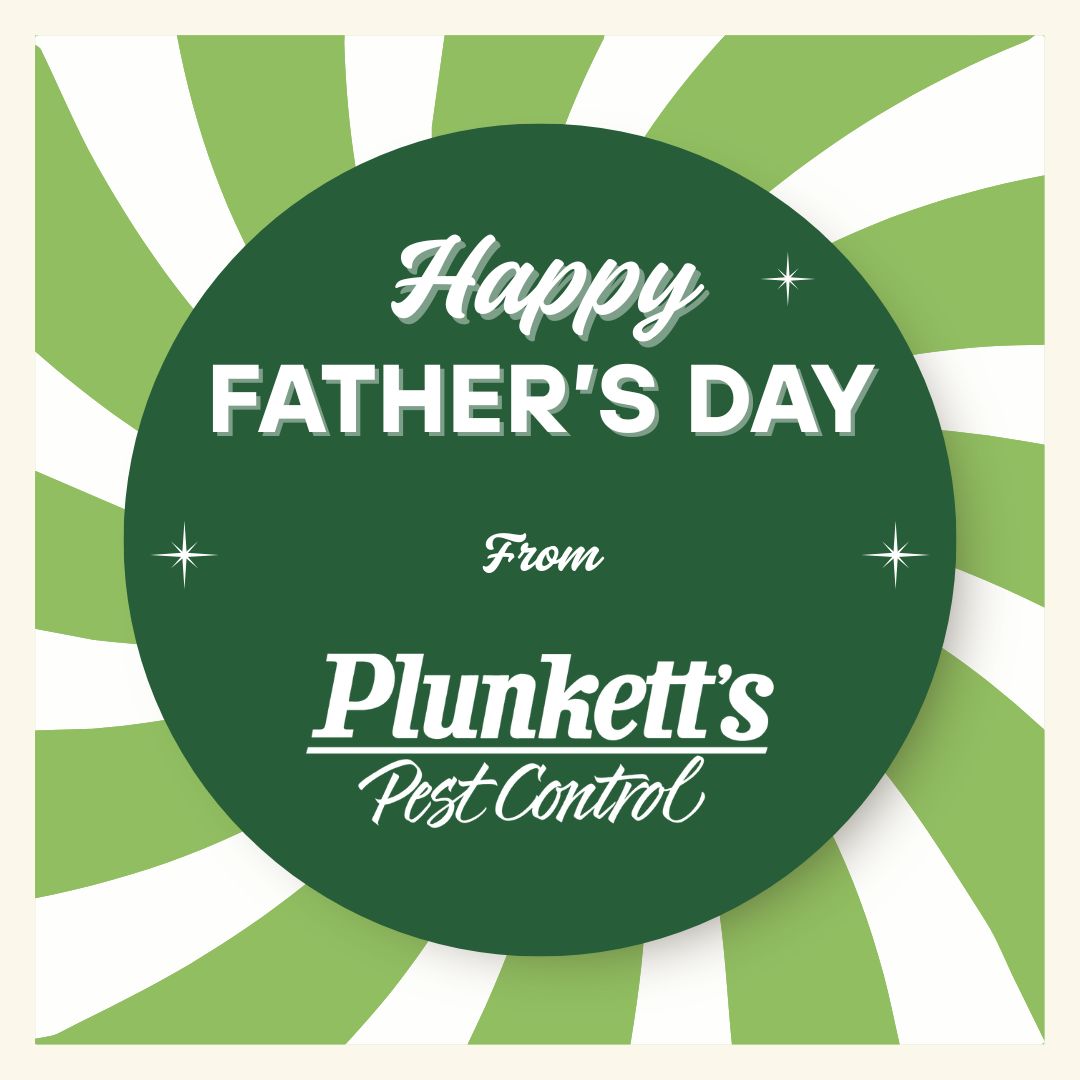 To the dads who handle it all — the backyard BBQs, the school drop-offs, and yes, even the surprise wasp in the garage — we see you! Your dedication to family (and fearless pest patrol) doesn’t go unnoticed.

Happy Father’s Day from all of us at Plunkett’s Pest Control!