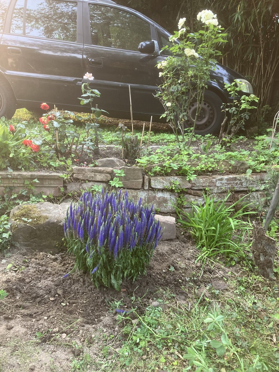 Heinke 🎼 tweet media