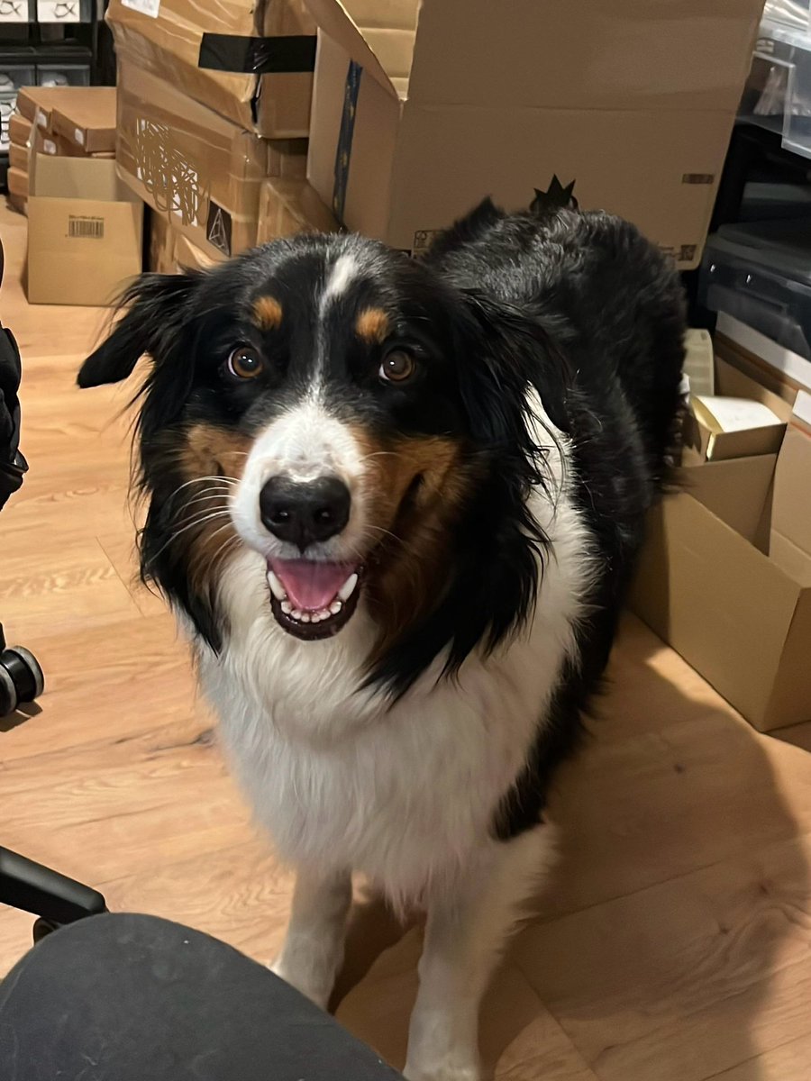 How am I supposed to get any work done with distractions like this?

Sorry if your orders take longer than expected