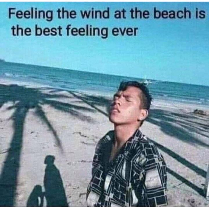 Gldni7007's tweet photo. #BadBeachBehavior is when you don't enjoy the ocean breeze https://t.co/OkNfKMfy0m
