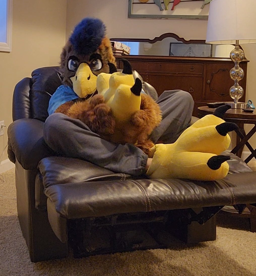 DonderHawk's tweet image. I got a couple of stress relievers if any want them
#talontuesday
