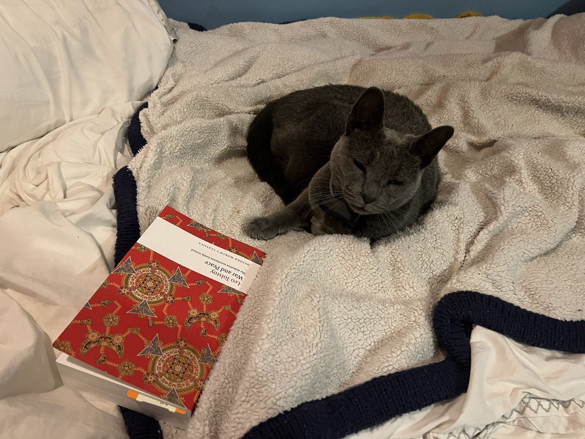 the children yearn for doitsu🫂 (@bieakhome) on Twitter photo 