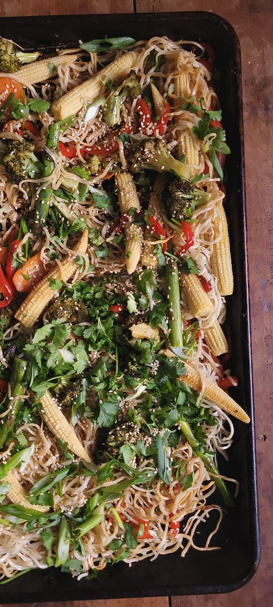 lifeislikeveg's tweet photo. Sheetpan chow mein. Noodles are so good. This is a lazy version that gives you both crisp and soft bites of noodles without getting out the wok. Asparagus. Bell pepper. Baby corn. Carrots. Broccoli. Soy dressing. Scallion. Cilantro. Sesame. 

#delicious #mealprep #chefsdayoff #pei #veganAF #june #creatives #veganfood #chowmein #noodz