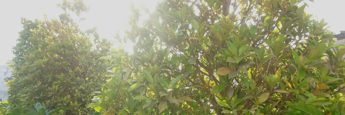 _iibrr's tweet photo. https://t.co/mQLw64s3vf