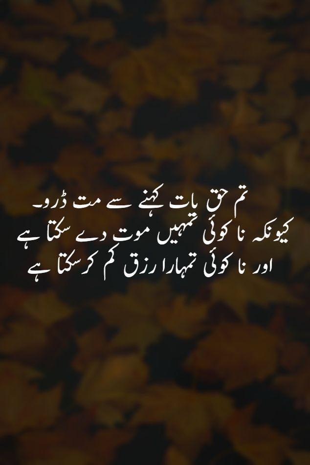 #پاکستان

<a href="/tarar_4/">❤️🇵🇰تارڑ🇵🇰❤️</a>

🌹
<a href="/taari_baba/">بابا تاری</a>
<a href="/smh1t/">🌸سید محمود حسین 🌸</a> 
<a href="/_Rai72/">MohsinRai</a>  
<a href="/S_dil2/">Sadam afridi</a>
@gene5ak
<a href="/asma_sultan/">Asma Sultan</a>
<a href="/DrSalwa_1/">💞 سلوی💞</a>
<a href="/ShakilA89065876/">Shakil Ahmad</a>
<a href="/R_maqsod/">ʀօֆɦռi💫ʍǟզֆօɖ</a>
<a href="/_Rai72/">MohsinRai</a>
<a href="/9oshg/">🌸نوشی🌸</a> 
<a href="/ZNK_O14/">Zҽҽsհαղ ղαsíɾ kհan</a>