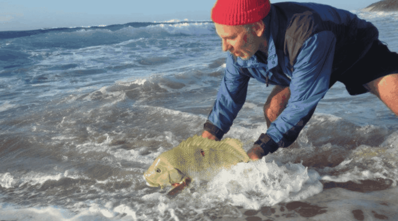 Africa DMC Group tweet media