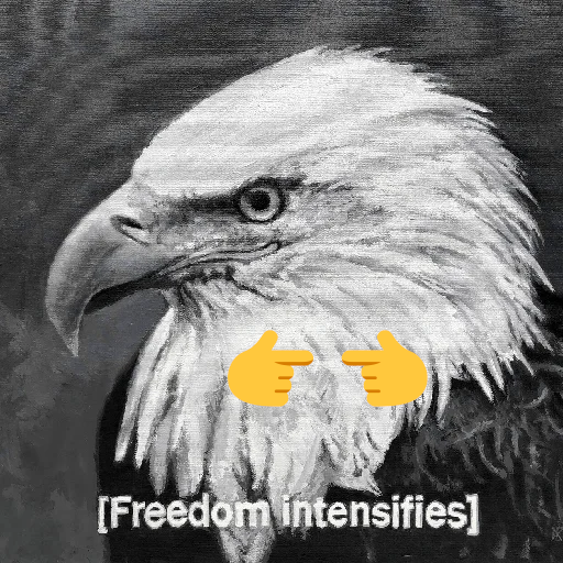 American Coin 🇺🇸🦅 tweet media