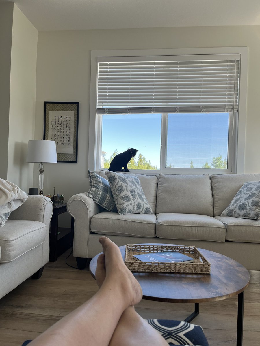 Today’s #patiopic. I am so happy to be home. Back to online meetings, reading, and writing. I am not sad about this. 🐈‍⬛❤️