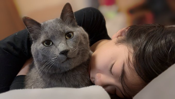 Twitterのコスプレ画像3