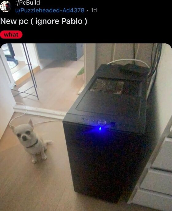 The Conductor tweet media