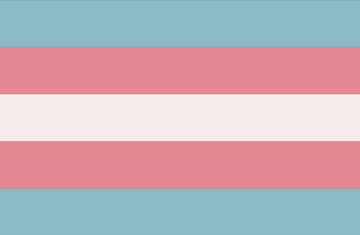 OrganBean's tweet photo. redid these for pride!! now including euini in the trans flag :) 🏳️‍⚧️🏳️‍🌈
#witchhatatelier #Δ帽子 https://t.co/xBb84WpXmk