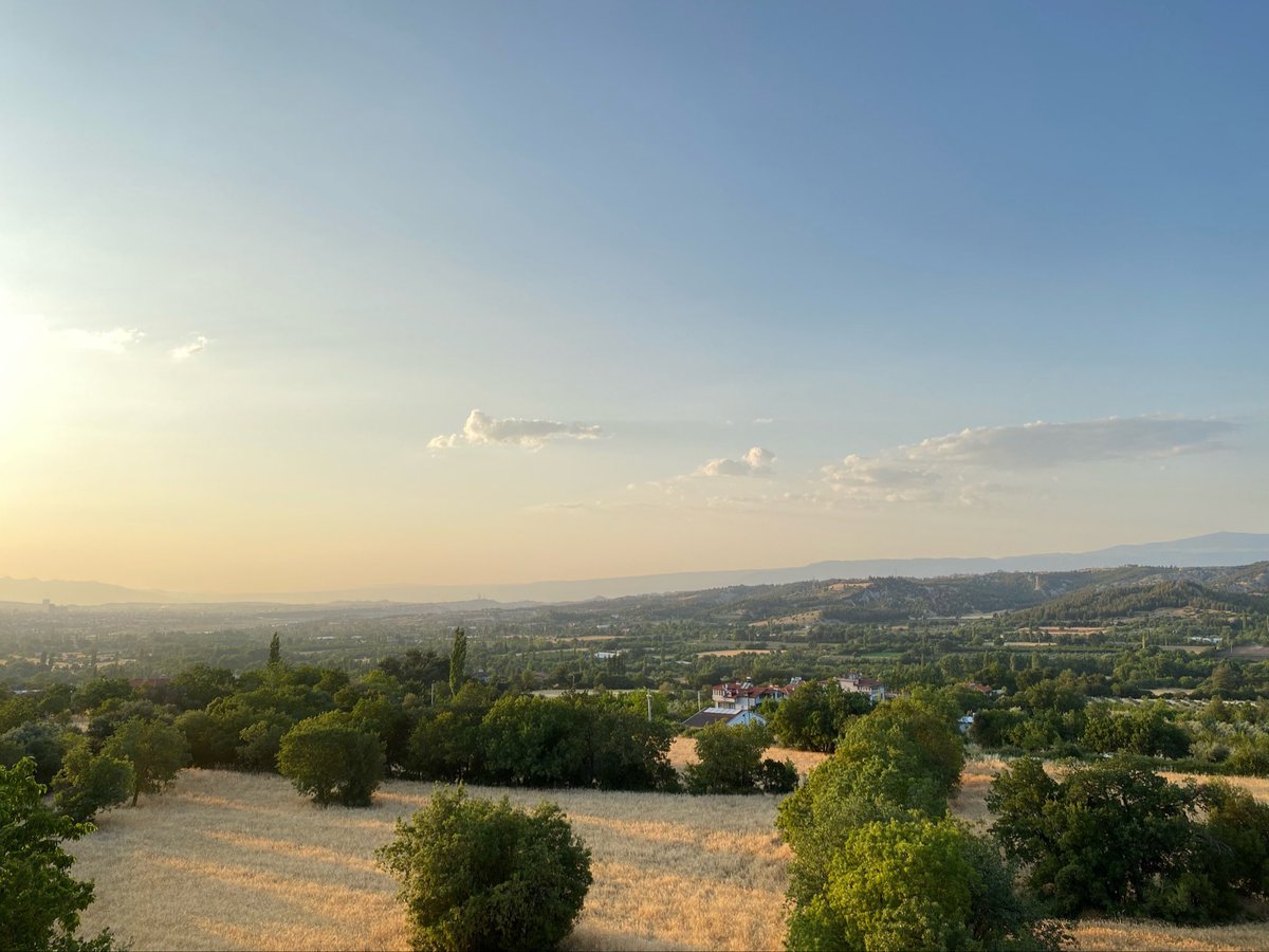 kırk derdin devası 💚