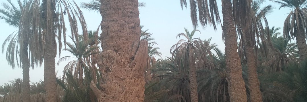 أفضل وأجمل دعاء قبل النوم  :🌿 يفعل الله مايشاء بقدرته ويحكم مايريد بعزته 🌿