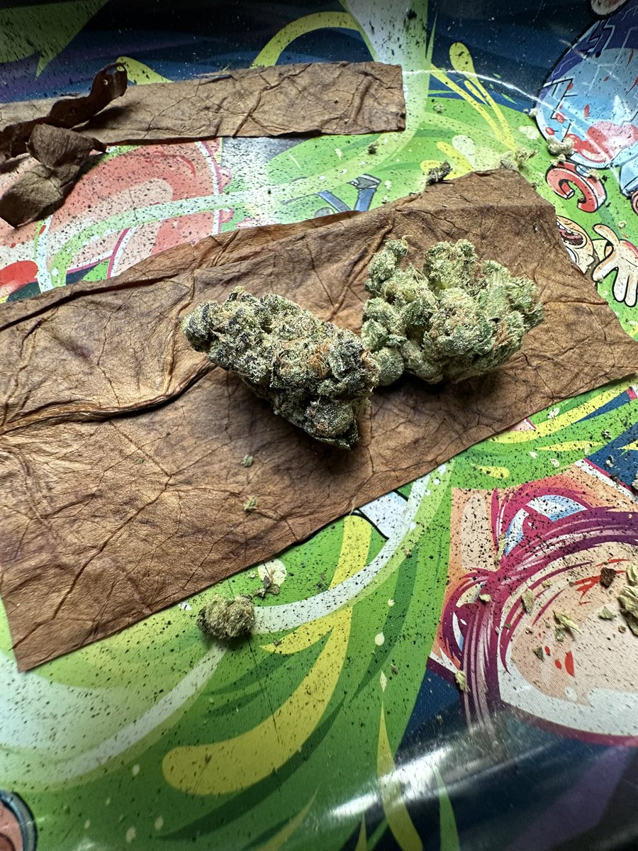 MoodY Exotics tweet media