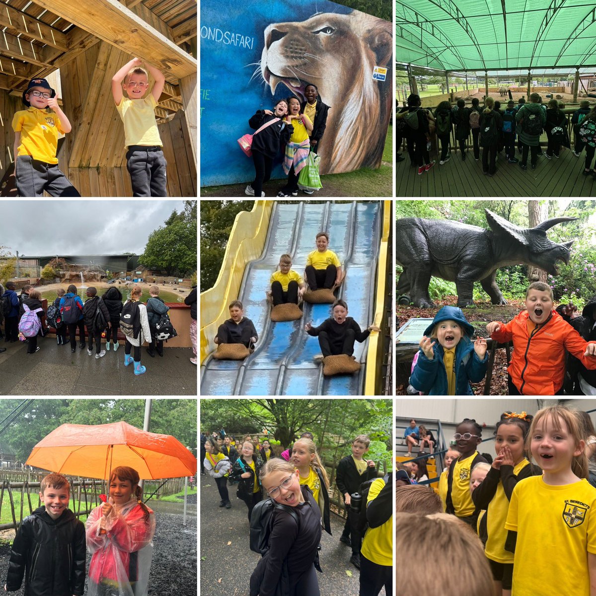 St Benedict's Primary (@stbenedictsps) on Twitter photo Primary 1-6 had the most amazing time at <a href="/BlairDrummondSP/">Blair Drummond SP</a> over the last couple of weeks! The children embraced the fun and made amazing memories, even on the (very) wet days! 🦒🦏🚎☔️🛝🦭 Primary 1-6 had the most amazing time at <a href="/BlairDrummondSP/">Blair Drummond SP</a> over the last couple of weeks! The children embraced the fun and made amazing memories, even on the (very) wet days! 🦒🦏🚎☔️🛝🦭
