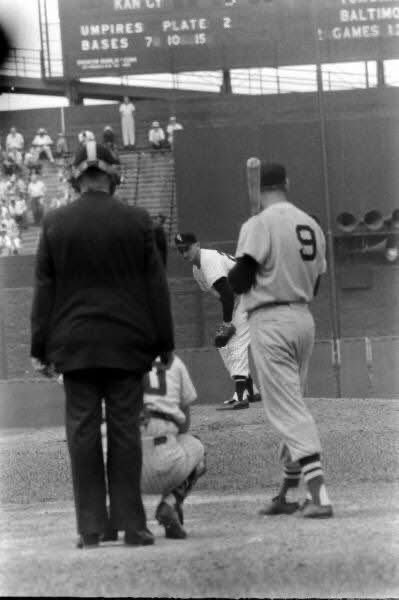 𝐂𝐎𝐌𝐈𝐒𝐊𝐄𝐘 𝐂𝐑𝐄𝐖 tweet media