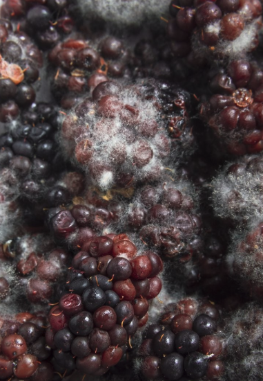 Domain Shane | Winterline tweet media