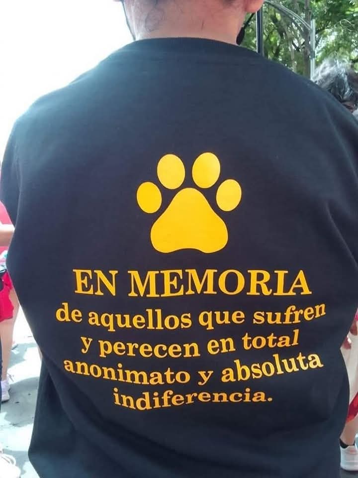 Perrosenlacalle's tweet photo. Estaría increíble que todos los que los amamos 🐾🐾 trajeramos un playera así 😍❤️ https://t.co/J2xwSTfs9B