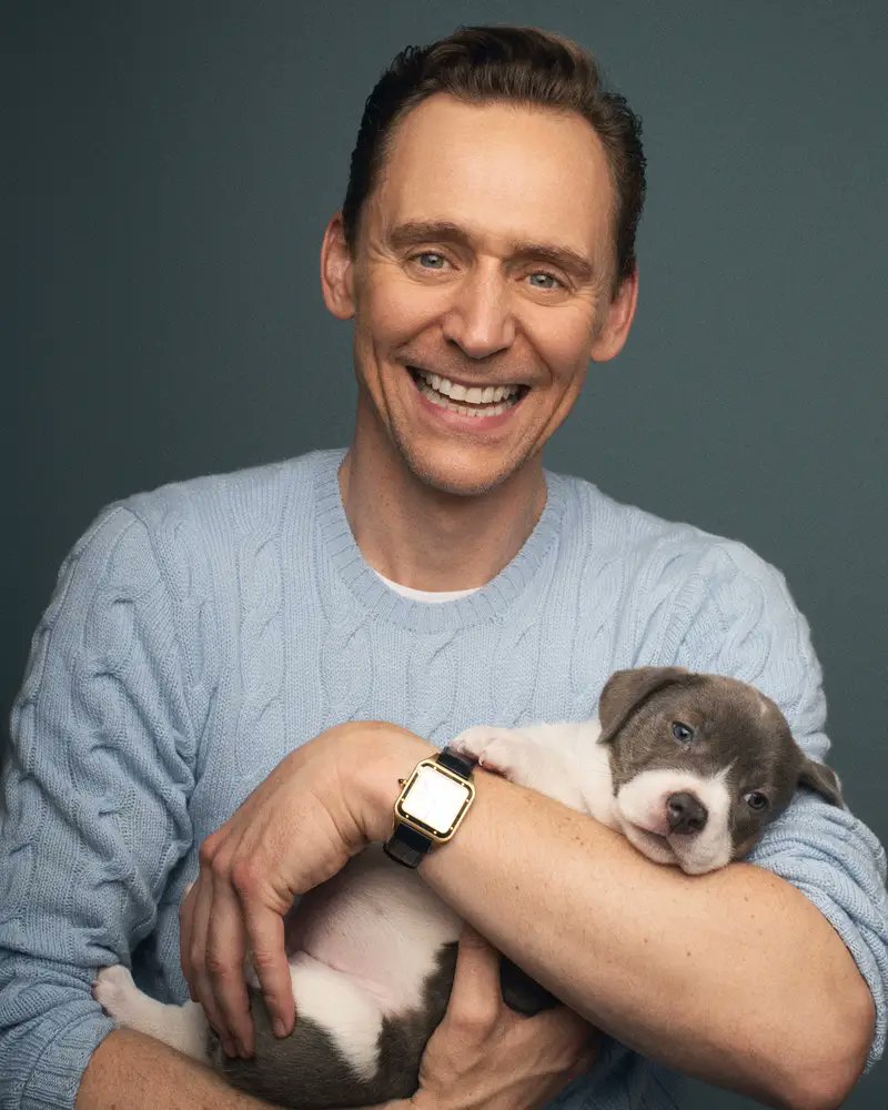 best of tom tweet media
