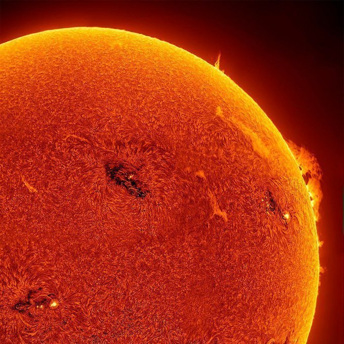 Black Hole tweet media