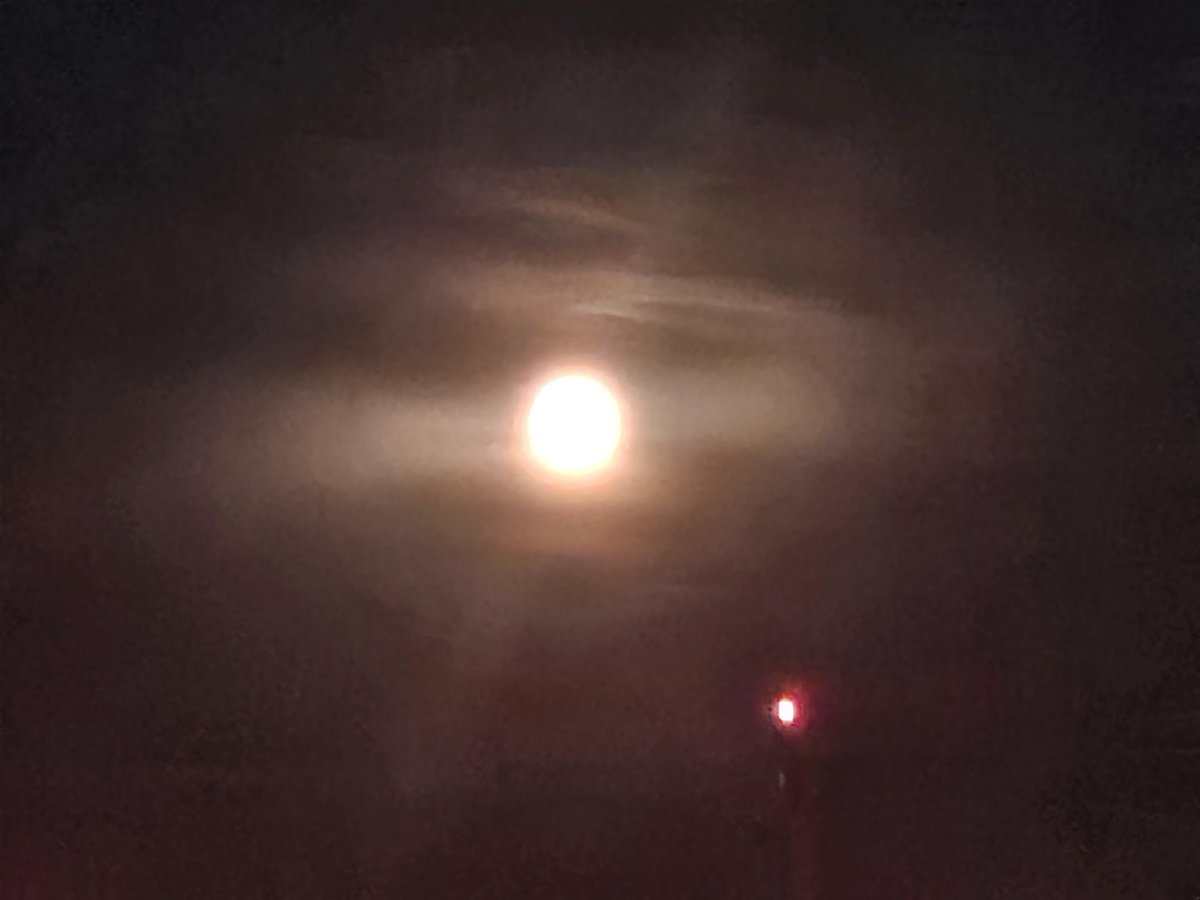 srasalingham's tweet photo. @NASA #strawberry #moon #mayfair https://t.co/NRlkAm3BSJ