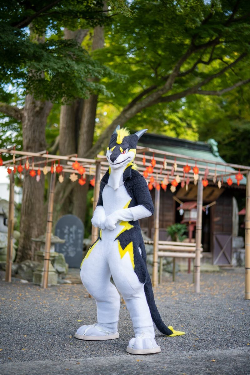 ゴマ(Goma) tweet media