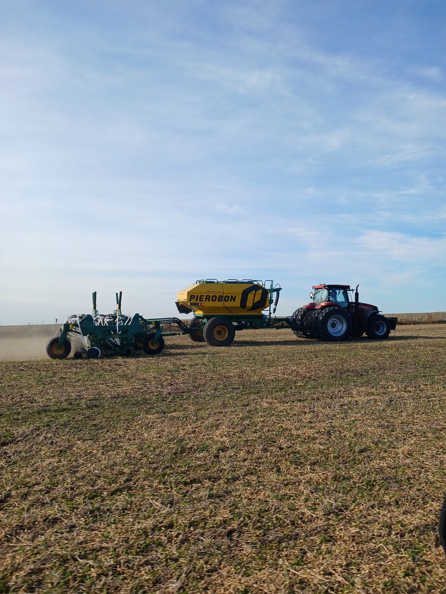 franco_uris's tweet photo. Avanzamos en la siembra de ensayos de fina (trigo y cebada) en secano y riego en la región Sudoeste de la provincia de Bs As.
#CREA #GEASO #GrupoRiego https://t.co/eWyXCCpDaQ