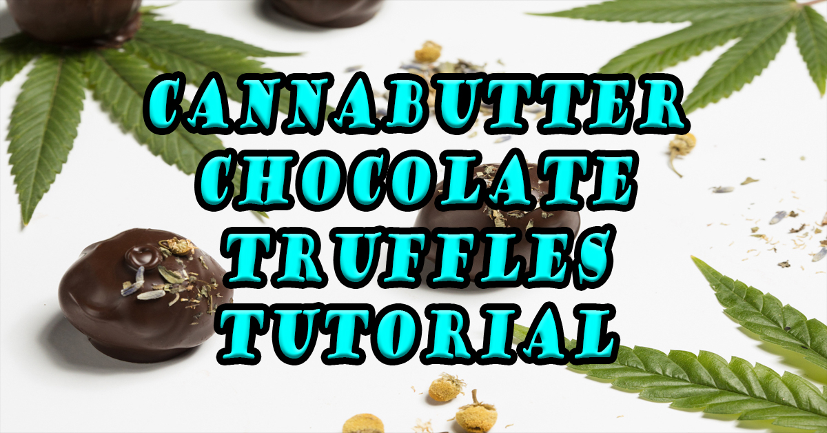 jCruceWeb tweet media