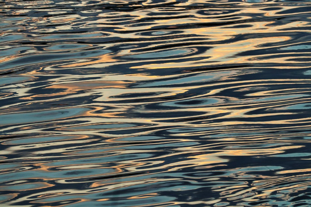 William Hulbert Photography tweet media