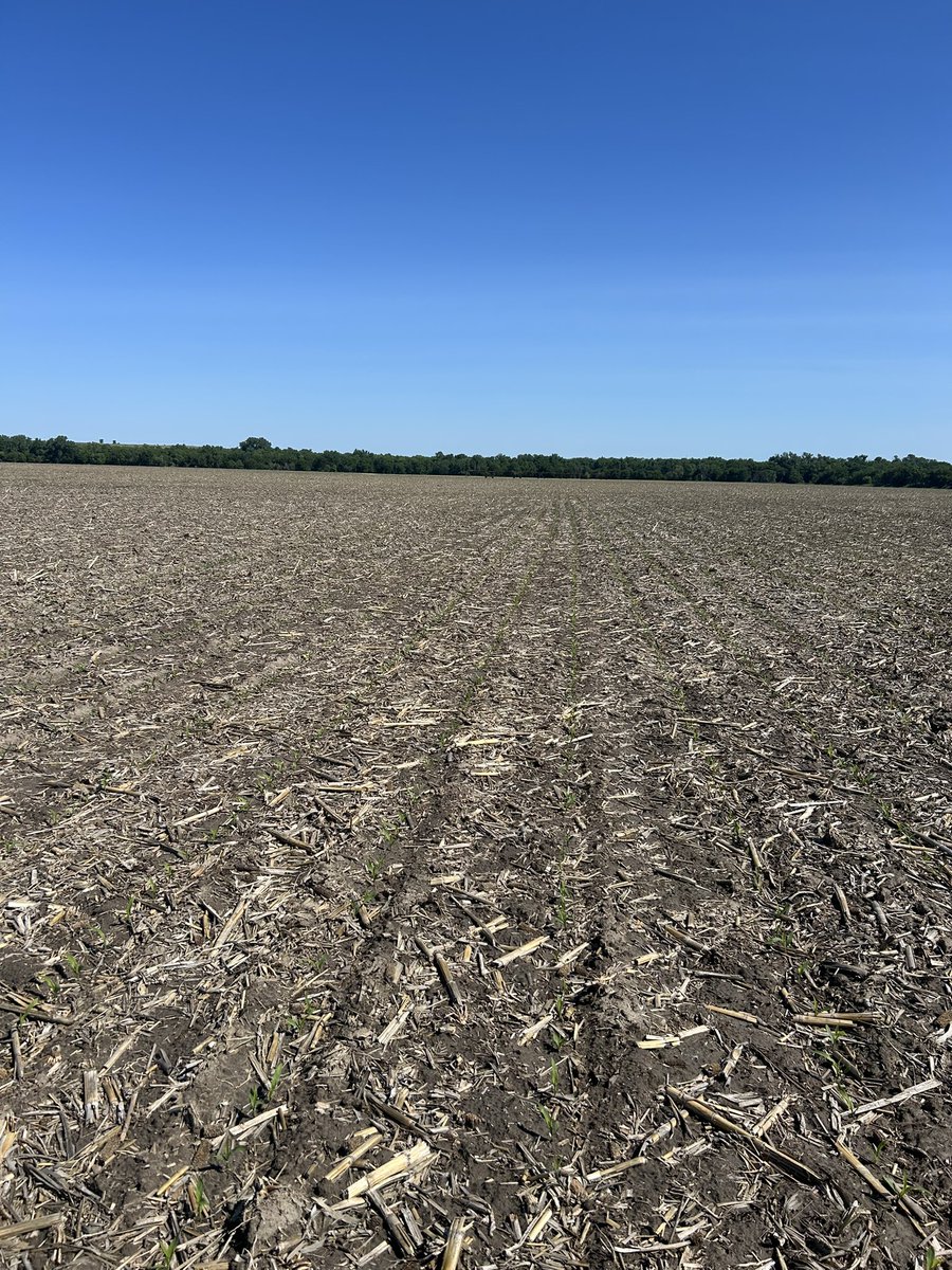 Good ole river bottom ground where you can find 5 different soil types in the top 3’ with one core. It can be challenging with high pH, coarse sand &amp; gumbo soils but also productive with some favorable conditions.