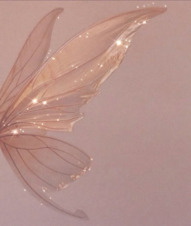 ✩ CEL ✩ (@moonlithoax) on Twitter photo 