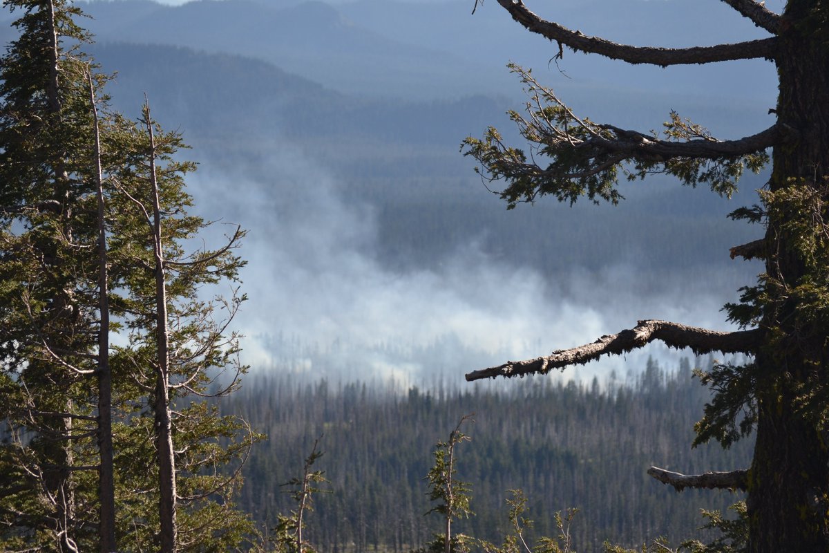 It's Smoke Ready Week! 
Wildfire smoke affects everyone, especially if you’re:
• Under 18.
• Over 65.
• Pregnant.
• Living with heart or lung disease.
Find info on air monitors and how to make your own box fan filter ➡️ tpchd.org/wildfiresmoke