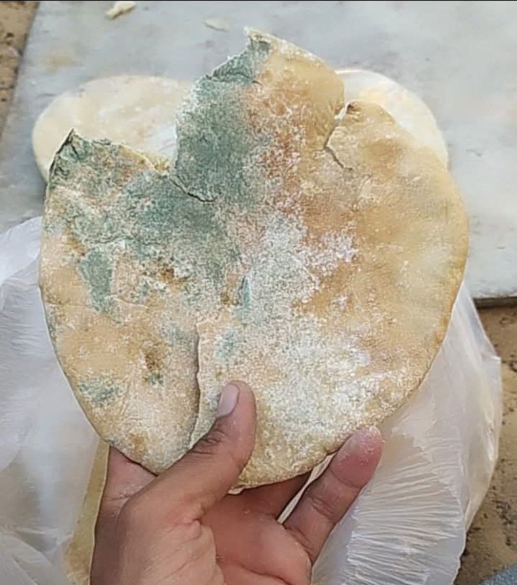 RLbragim49924's tweet image. I BEG YOU 😭

This moldy bread is the last thing our 11 will eat today today, and the last thing we'll ever eat, but it's making us sick. We don't have edible flour.

 I need 15 people, each donating $25, to provide food.

I BEG YOU TO Donate to us
chuffed.org/project/rowan-…