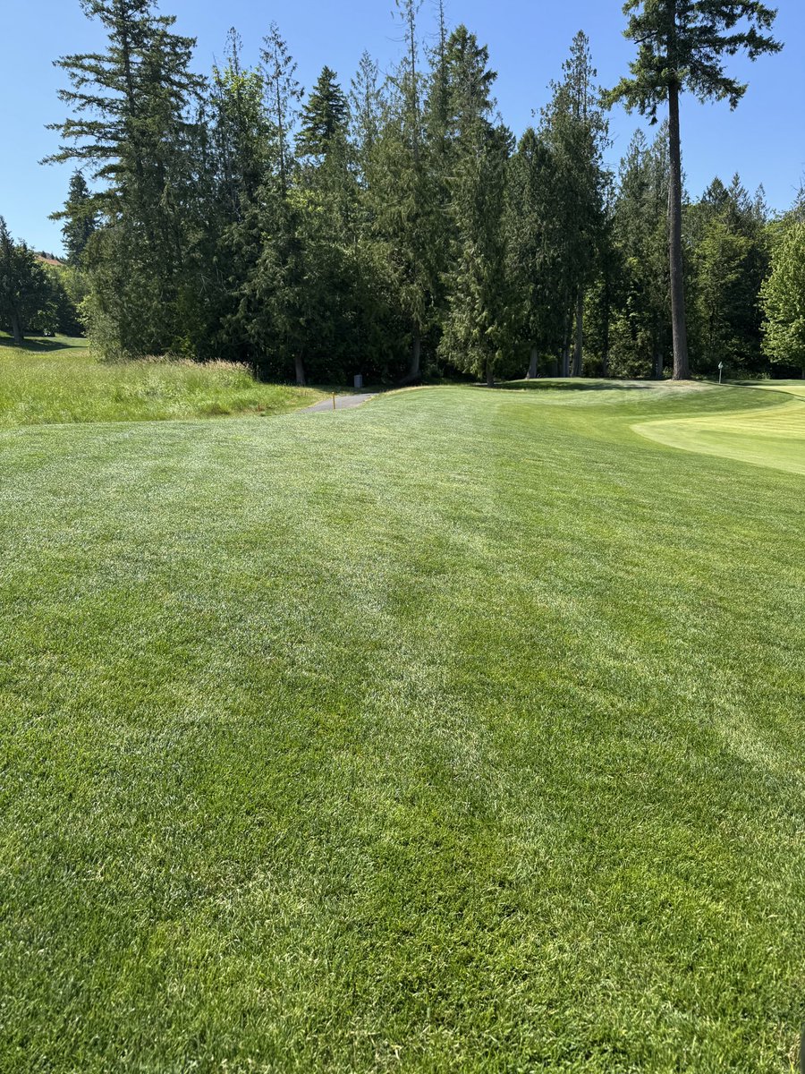 Sean Reehoorn tweet media