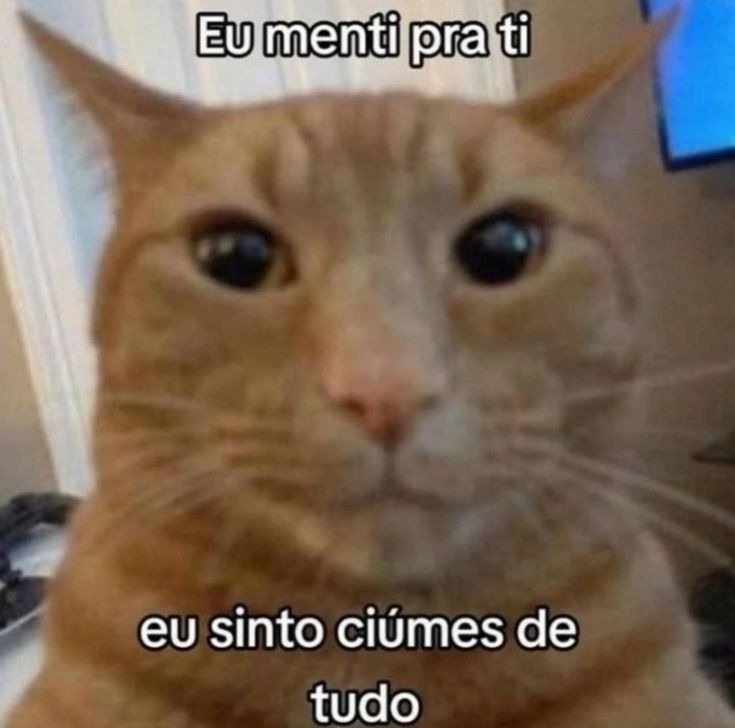 posts que eu me indentifico (@engualeukkk) on Twitter photo 