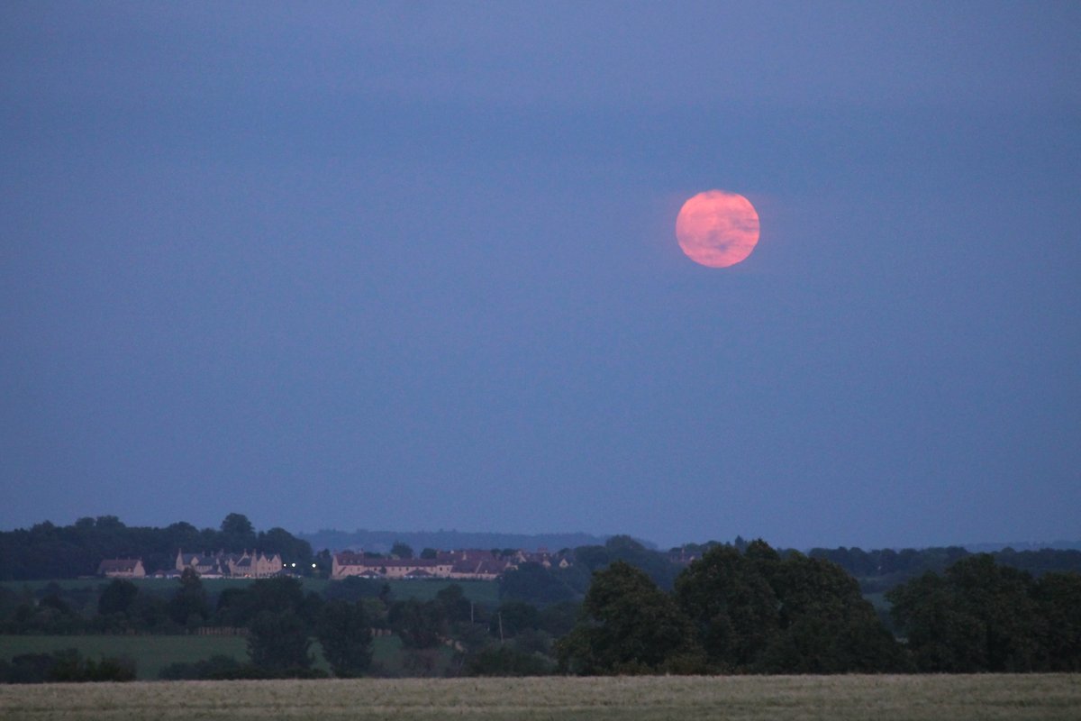 Rising almost full #StrawberryMoon from North #Oxfordshire, UK 21:50-21:55 BST 10th June '25. This year it will only reach 10 deg altitude, the lowest max altitude for 19 years. It won't be that low again for another 18 years! #FullMoon #LunarStandStill2025 #LunarStandStill