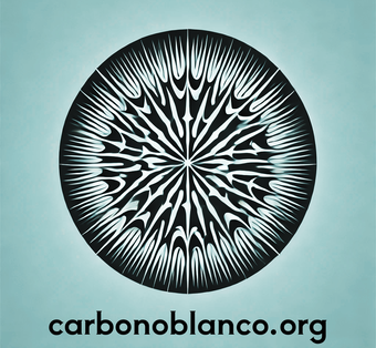 CaCO3planetary's tweet image. carbonoblanco.org   🌐  #AnOceanOfSolutions 

#UNOC3 #OCEAN #UNOceanConference